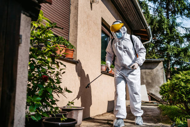 Best Bed Bug Extermination  in Miles City, MT