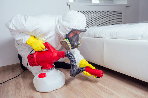 Best Mosquito Control Services  in Miles City, MT