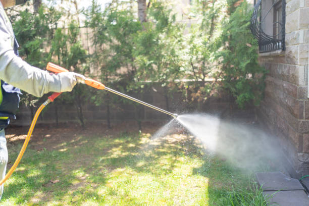 Best Insect Control  in Miles City, MT