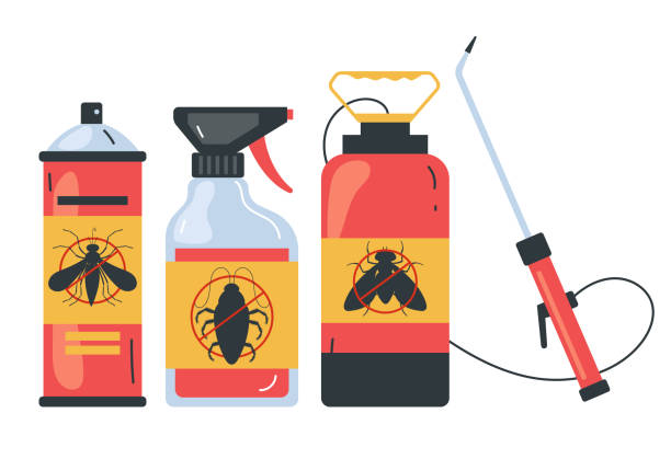 Best Spider Control Near Me  in Miles City, MT